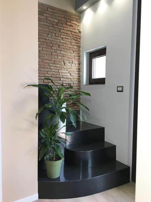 Domus 25 Villa CTA Exteriör bild